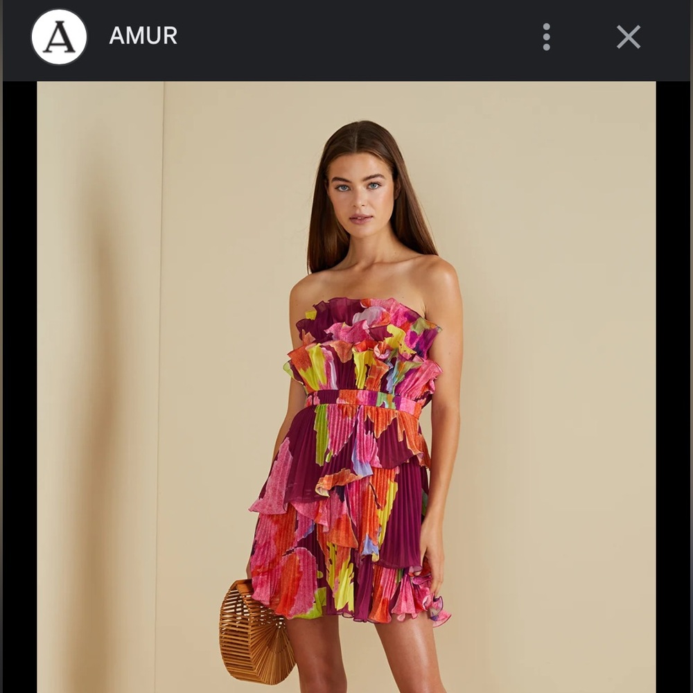 AMUR Mini Dress